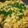 Mk Mahwish's cooksnap of when they made Aloo Anday Ke Bhujiya.