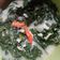 Cooksnap dari Rara Hendra untuk resep Sayur Santan Daun Singkong