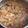 Cooksnap dari Sabrina El Muzed untuk resep Tongseng Ayam Santan