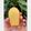 Cooksnap dari Cienz Lin untuk resep Butter Madeleine
