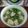 Cooksnap của Hà Trang khi họ làm theo món Canh cá thác lác nấu cải xanh