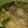 Cooksnap dari Bunda Luqman's Kitchen untuk resep Seblak Cilok