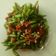 Cooksnap dari Syifa Nurlaella untuk resep Tumis Buncis Tomat