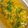 Shandré Candiotes's cooksnap of when they made Butter Chicken.