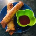 Yashal Ahmad's cooksnap of when they made Veg Spring Rolls.