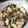 蝦米 的 豆豉鮮蚵 cooksnap