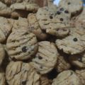 Cooksnap dari Endah Winditatha untuk resep Crunchy Choco Chips Cookies
