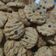 Cooksnap dari Endah Winditatha untuk resep Crunchy Choco Chips Cookies