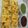 Disha Chhaya's cooksnap of when they made ખાટા ઢોકળા (Khata Dhokla Recipe In Gujarati).