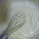 Cooksnap dari Aulia Nugraha untuk resep Buttercream margarin