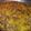 El cooksnap de Dan Barreto @elhornodeeloy cuando hizo Arroz con Chancho.
