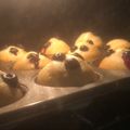 El cooksnap de Daiana Pivas cuando hizo Muffins de Arándanos.