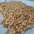 Cooksnap dari Miko Saeri untuk resep Kacang Bawang Gurih Renyah (dan tips menggoreng)