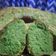 Cooksnap dari Selma Gusmira untuk resep Bolu Pandan Santan (Daun Pandan Asli)