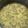 Jayshree Chotalia's cooksnap of when they made સાદી ખીચડી (Simple Khichdi Recipe In Gujarati).