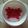 Cooksnap dari Azizah untuk resep MPASI Agar-Agar Naga 9m+ (No Gulgar)