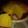El cooksnap de Naty Arboleya cuando hizo Bizcochuelo fácil y súper esponjoso.