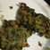 El cooksnap de Sandra Valiente cuando hizo Buñuelos de acelga.