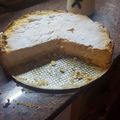 El cooksnap de Sandra Gabriela Nola Barboza cuando hizo Torta de ricotta.