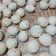 Cooksnap dari Revina Christa untuk resep Bapao lembut