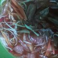 Cooksnap dari Ani Hayati untuk resep Asinan Sayur khas BOGOR