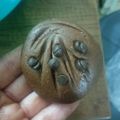 El cooksnap de María José cuando hizo Cookies de chocolate en freidora de aire (sin huevo).
