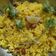 Richa prajapati का कुकस्नैप जब उन्होंने लेमन राइस (lemon rice recipe in hindi) बनाया था।