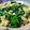 รูป Cooksnap ของ Phenpilat(แอ้) เมื่อเขาทำ ใบเหลียงผัดไข่