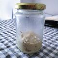 Cooksnap dari Widiyani Indrianingrum untuk resep Bumbu Dasar Putih