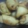 Cooksnap dari Hermawati untuk resep Molen mini