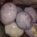 BeckyG1280's cooksnap of when they made Rotten Eggs * Halloween * With Bloody Eggs Variation.