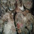 El cooksnap de Claudia De Conti cuando hizo Zucchinis rellenos con puré de paltas.