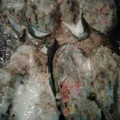 El cooksnap de Claudia De Conti cuando hizo Zucchinis rellenos con puré de paltas.