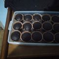 Cooksnap dari RIKA ARIESANDI untuk resep Cupcake coklat kukus