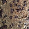 Cooksnap από Popi στη συνταγή Banana Oat bars!🍌