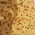 Muthoni Muchiri's cooksnap of when they made Buttered Naan.