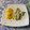 El cooksnap de Cranky I cuando hizo Pechuga de pollo a la crema con verdeo.