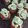 Cooksnap από thebit στη συνταγή Cupcakes με βουτυρόκρεμα