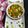 Hetal Chirag Buch's cooksnap of when they made રીંગણા નો ઓળો.