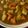 Cooksnap dari Veronica Herning untuk resep Japanese Chicken Katsu Curry Rice