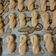 Cooksnap από Barbara Syrianoy στη συνταγή Κουλουράκια βανίλιας αφράτα