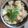 Dhvetanshi Chauhan's cooksnap of when they made બટાકા ની સૂકી ભાજી (Bataka Suki Bhaji Recipe In Gujarati).