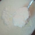 Noor Ul Ann's cooksnap of when they made Taza dahi/ Homemade Dahi.