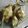 Cooksnap dari Ita Mamahe Dek Pila untuk resep 16. Ketupat Home Made (5-10-15)