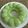 Cooksnap dari May Maysaroh untuk resep Pudding Lumut Pandan