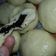Cooksnap dari Rani Pelita Sahara Pasaribu untuk resep Bakpao Coklat dengan Magic Com (ala anak kos)