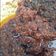 Cooksnap dari Renny Mahlenny untuk resep Sambal Terasi