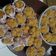 Cooksnap dari nurwanti untuk resep Bolkus gula merah ekonomis (no telur, no mixer)
