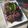 Cooksnap dari Kiena untuk resep Rendang Daging Sapi