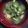 Cooksnap dari Ferasty untuk resep Sayur Sop Oyong telur |Praktis